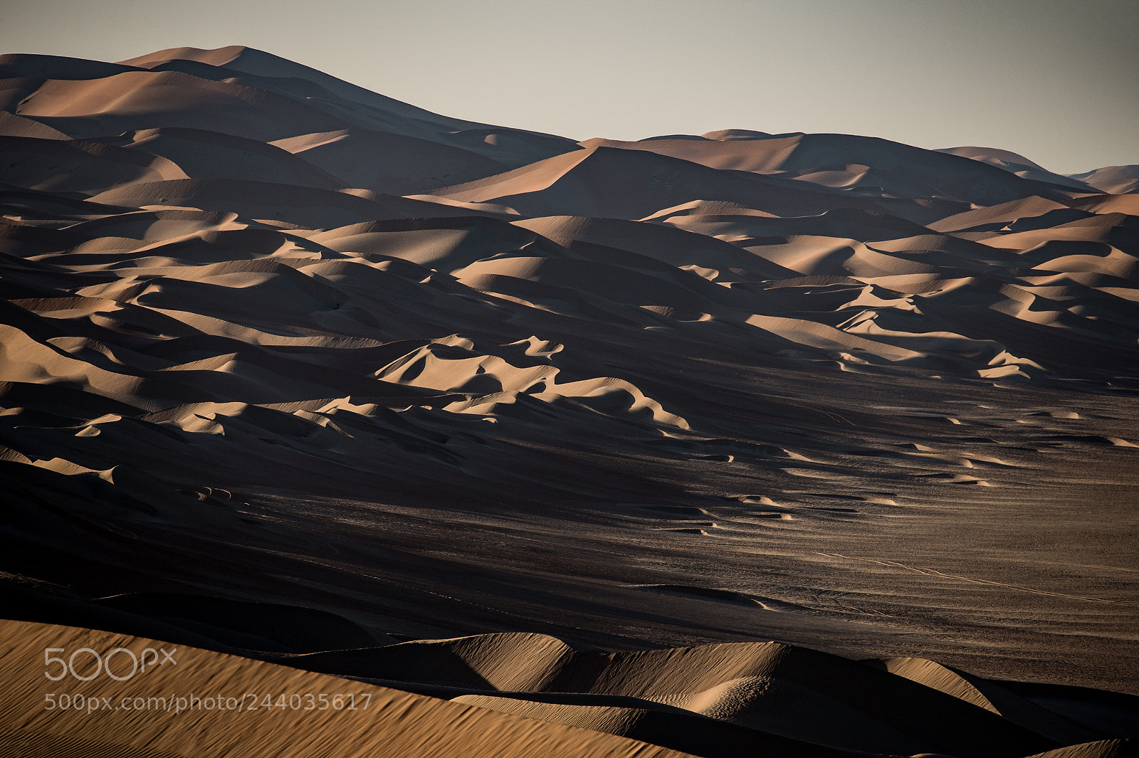 Nikon D4 sample photo. Dunes photography