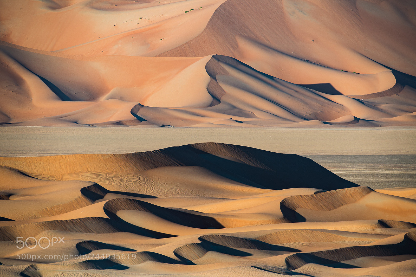 Nikon D4 sample photo. Dunes photography