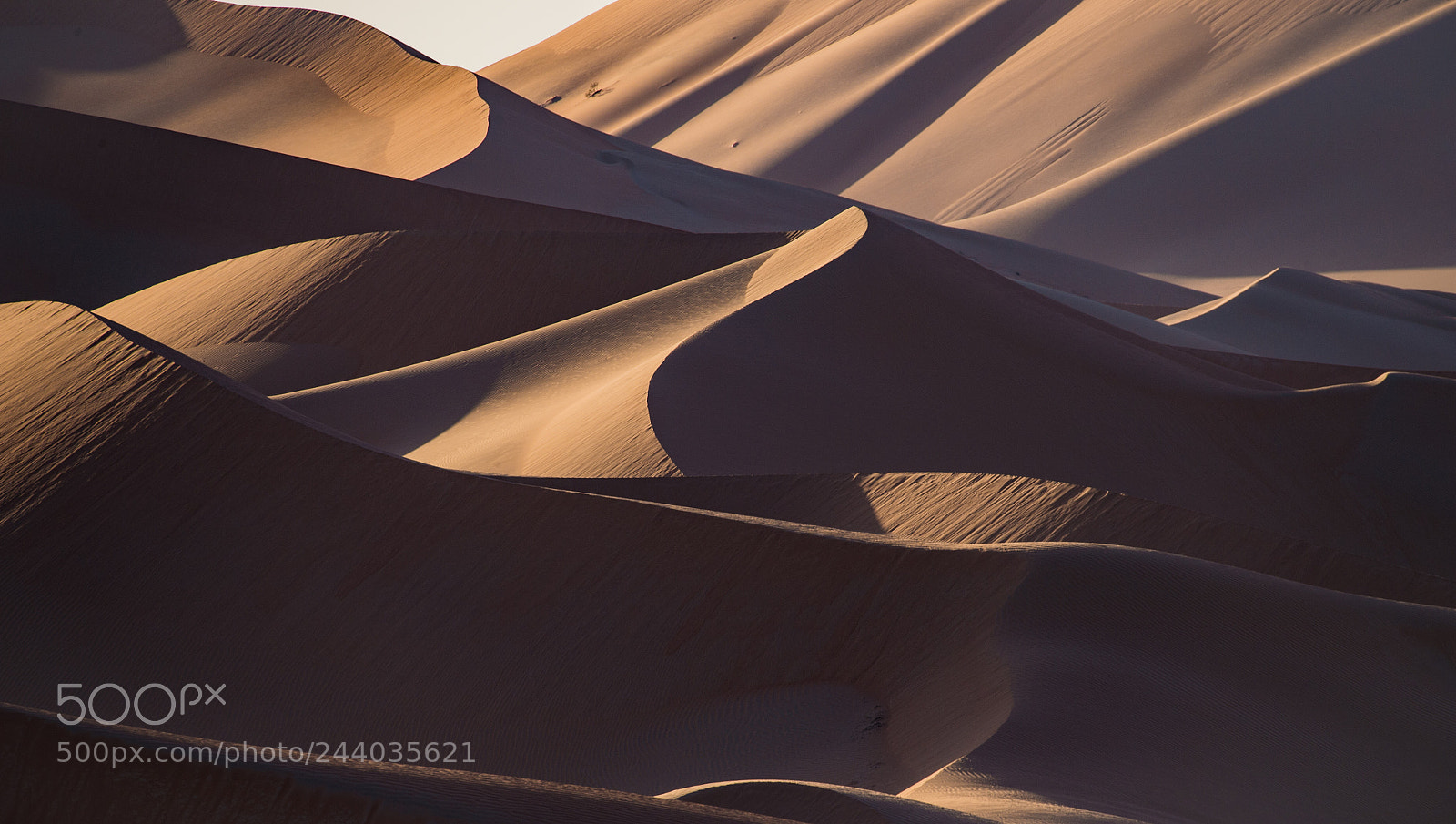 Nikon D4 sample photo. Dunes photography