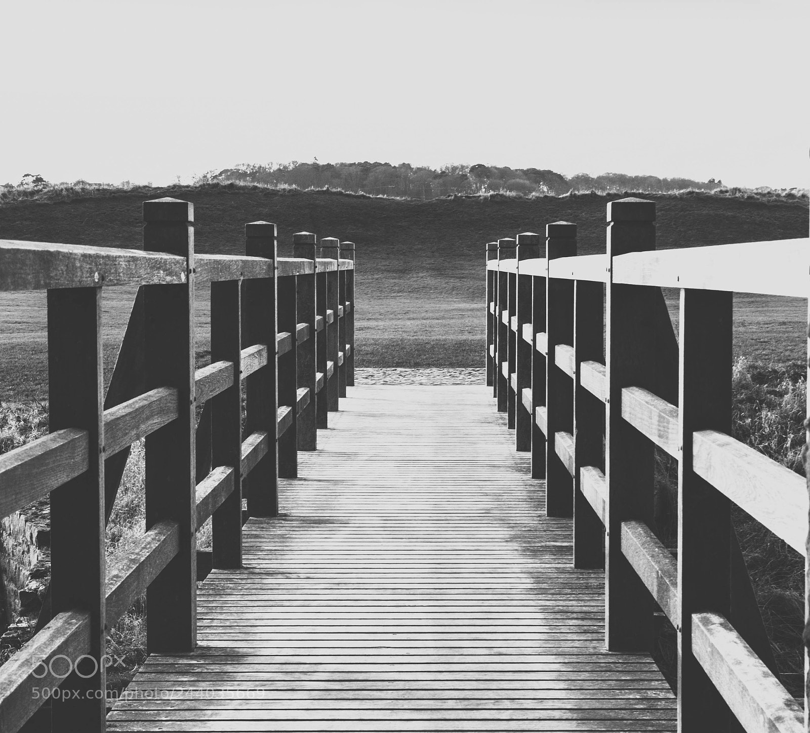 Nikon D7200 sample photo. Untitled photography