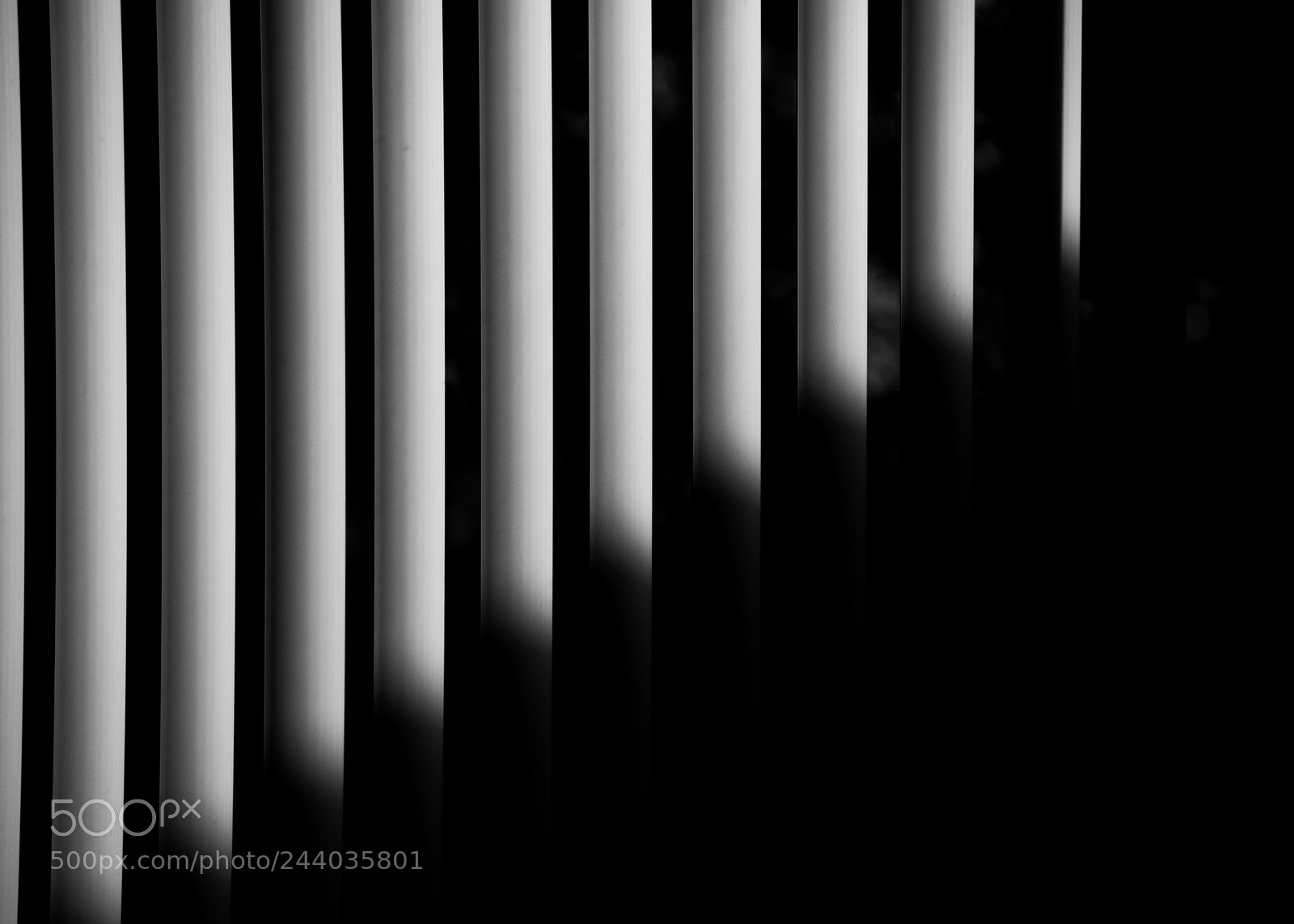 Nikon D300 sample photo. Blinds photography