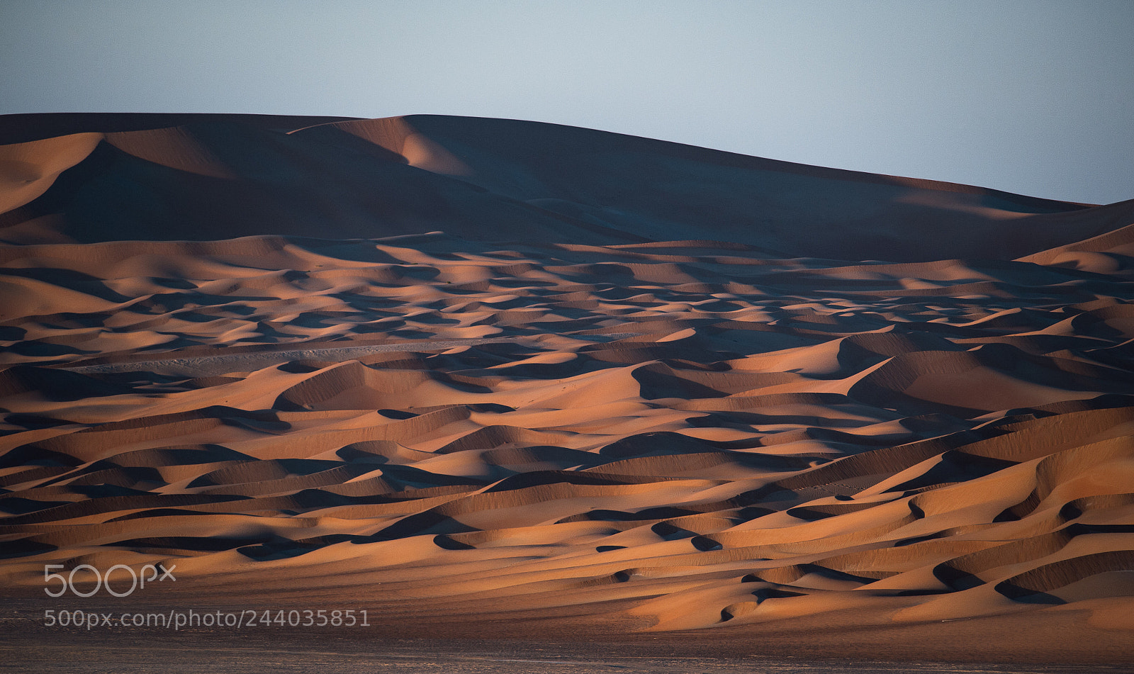 Nikon D4 sample photo. Dunes photography