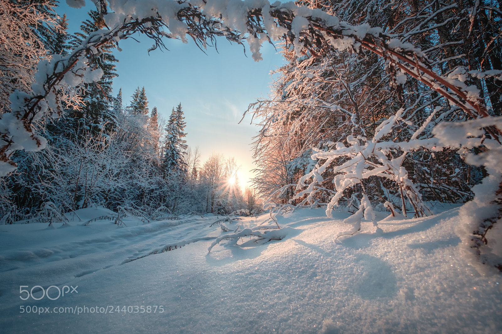 Fujifilm X-T20 sample photo. Ural's forest photography