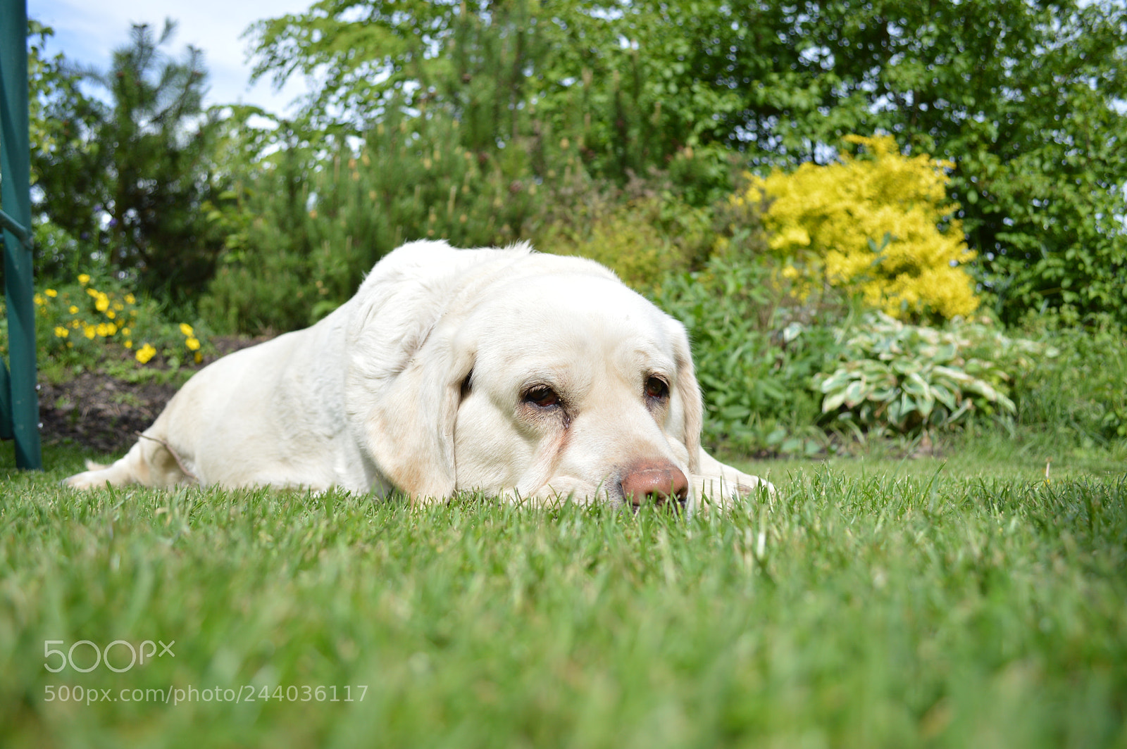 Nikon D3200 sample photo. Chilled outside photography