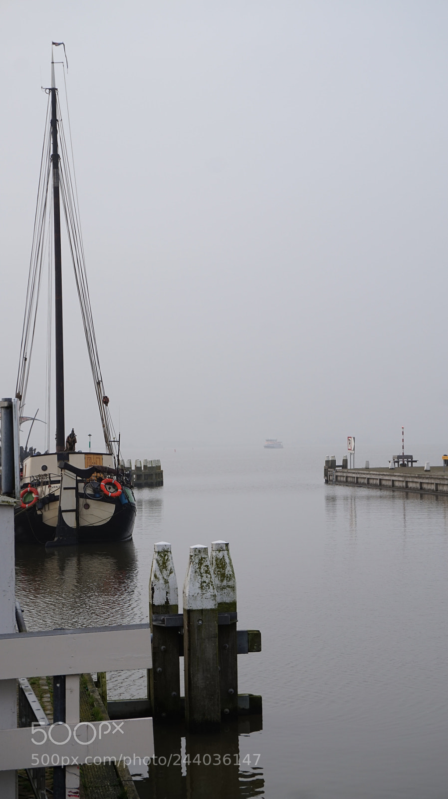 Sony Alpha a5000 (ILCE 5000) sample photo. Foggy bay photography