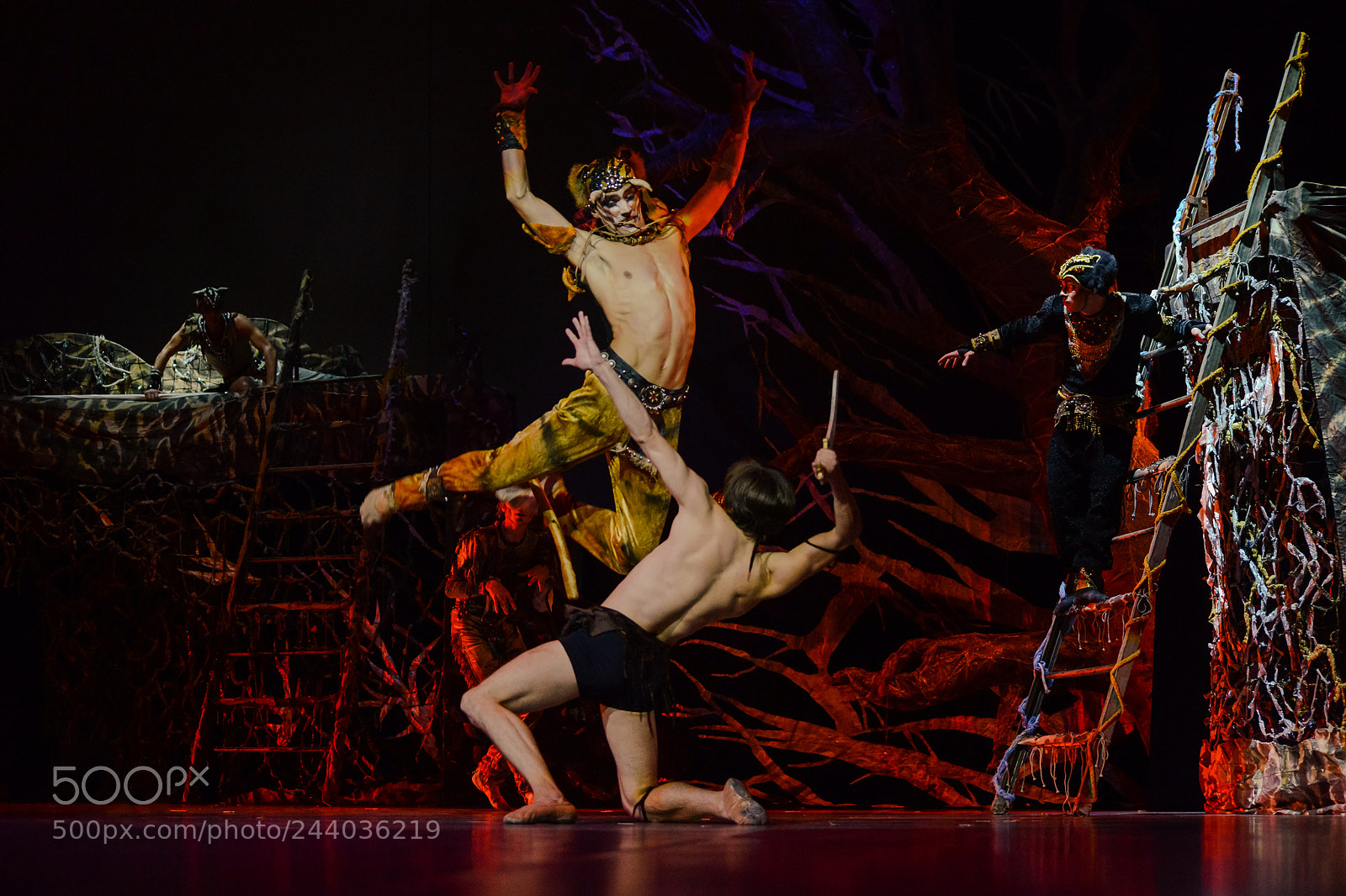 Nikon D800 sample photo. Mowgli photography
