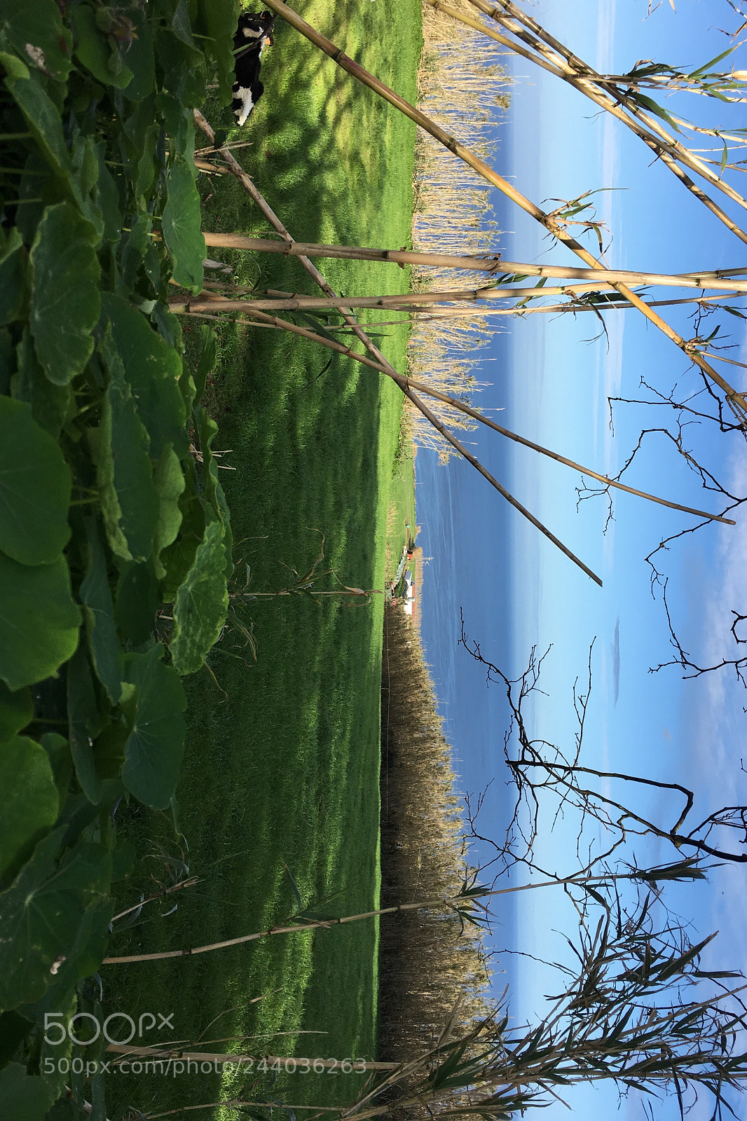 Apple iPhone 6s Plus sample photo. Untitled photography