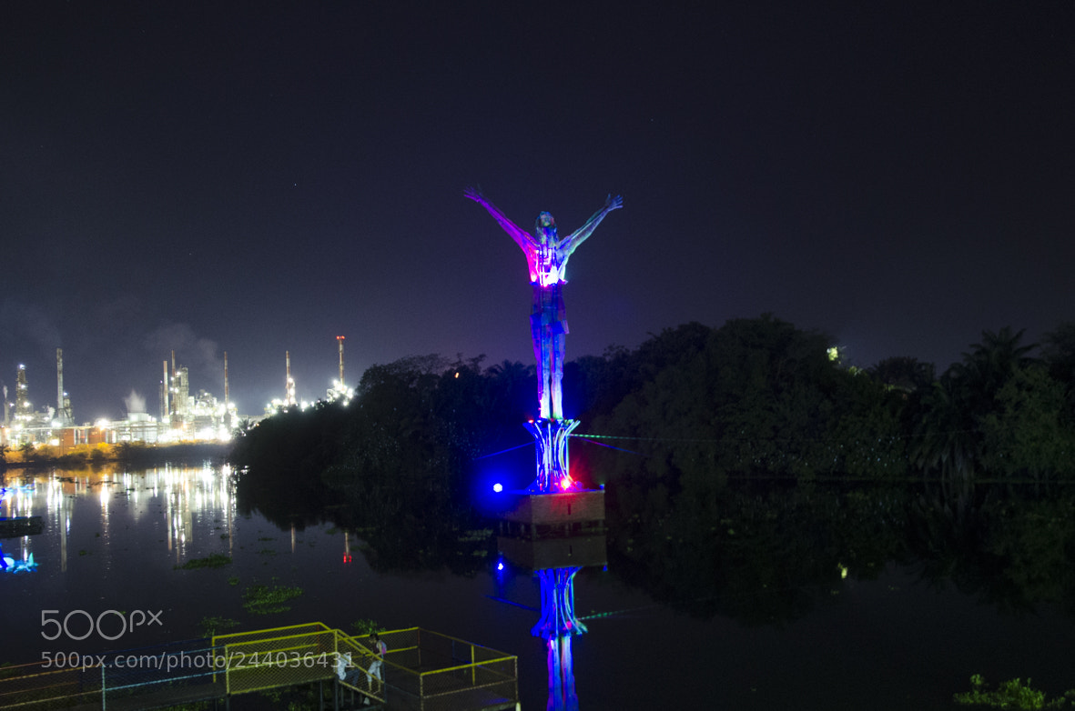 Nikon D5100 sample photo. Untitled photography