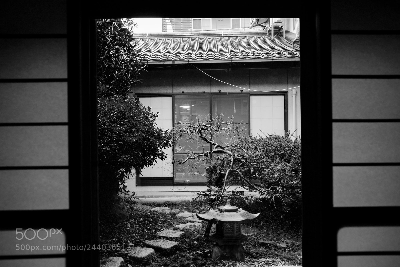 Fujifilm X-Pro2 sample photo. Inouichi photography