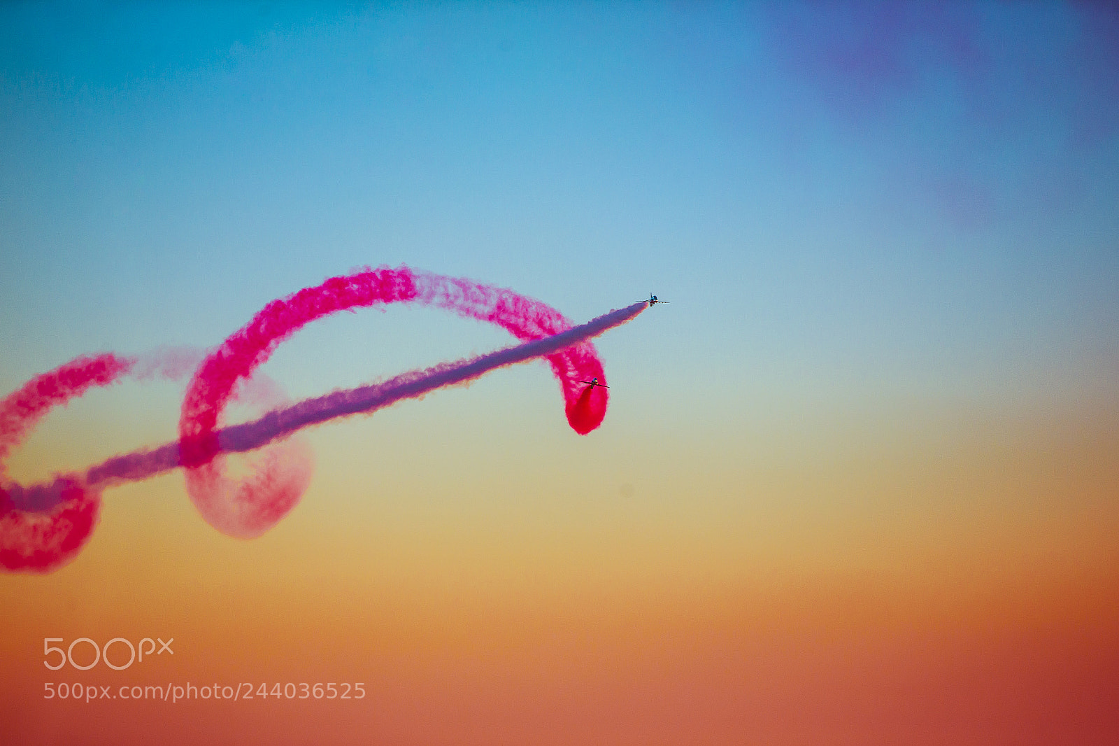 Canon EOS-1D X sample photo. Saudi hawks photography