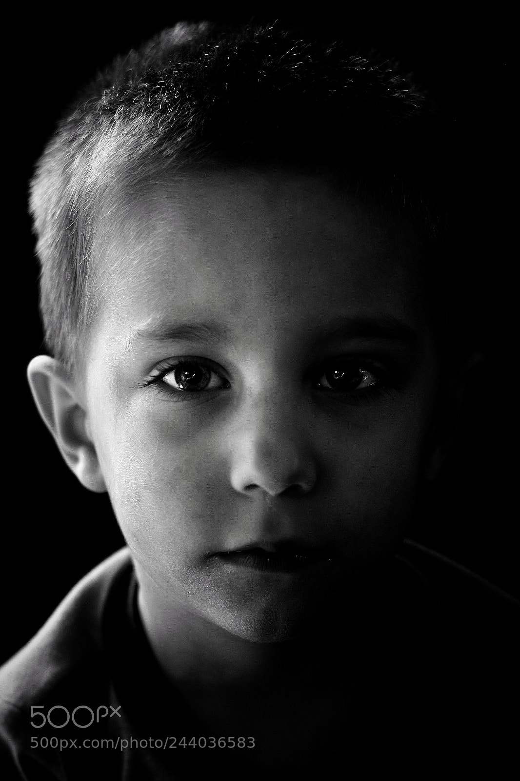 Nikon D5600 sample photo. Why so serious? photography