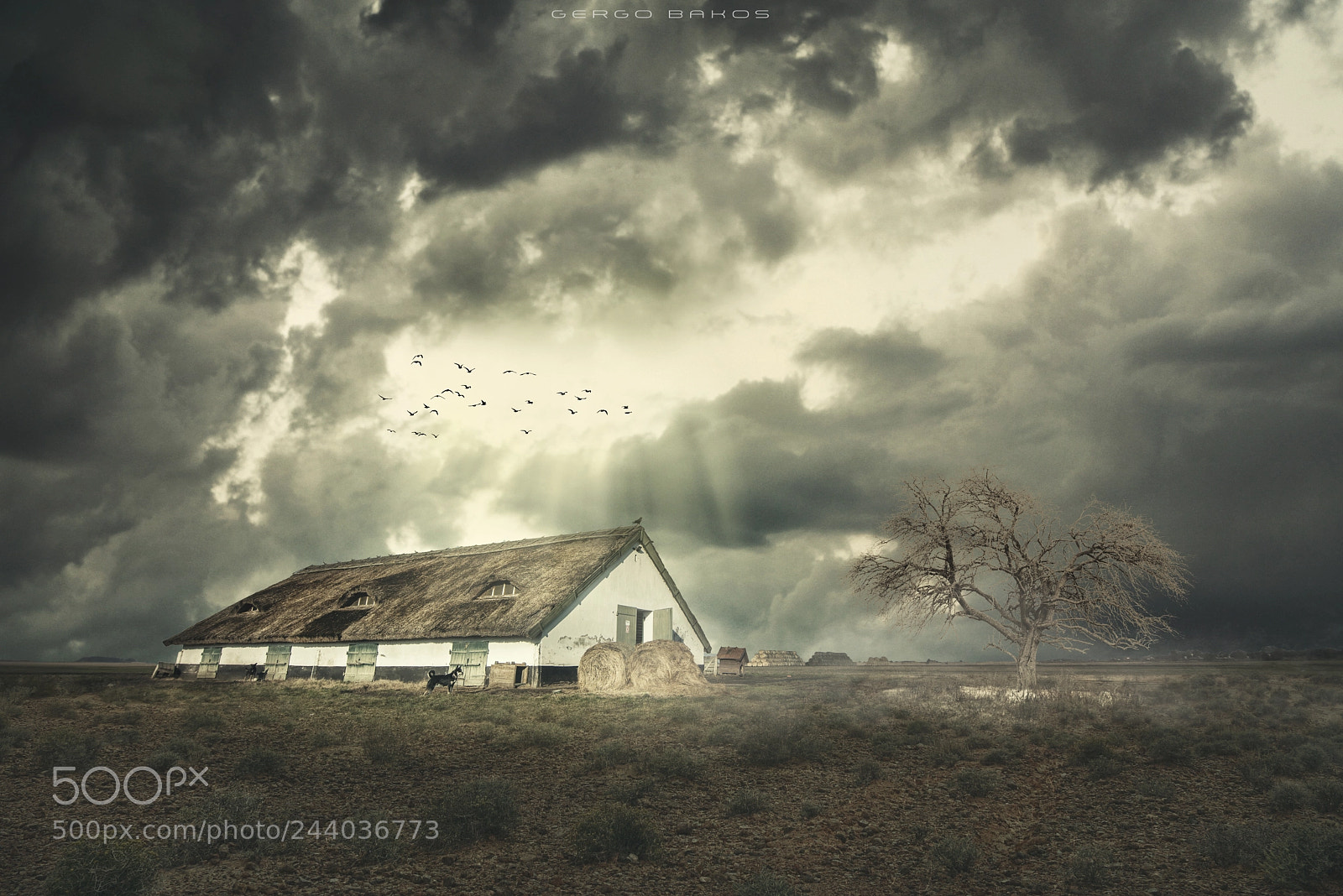 Nikon D810 sample photo. Before the storm photography