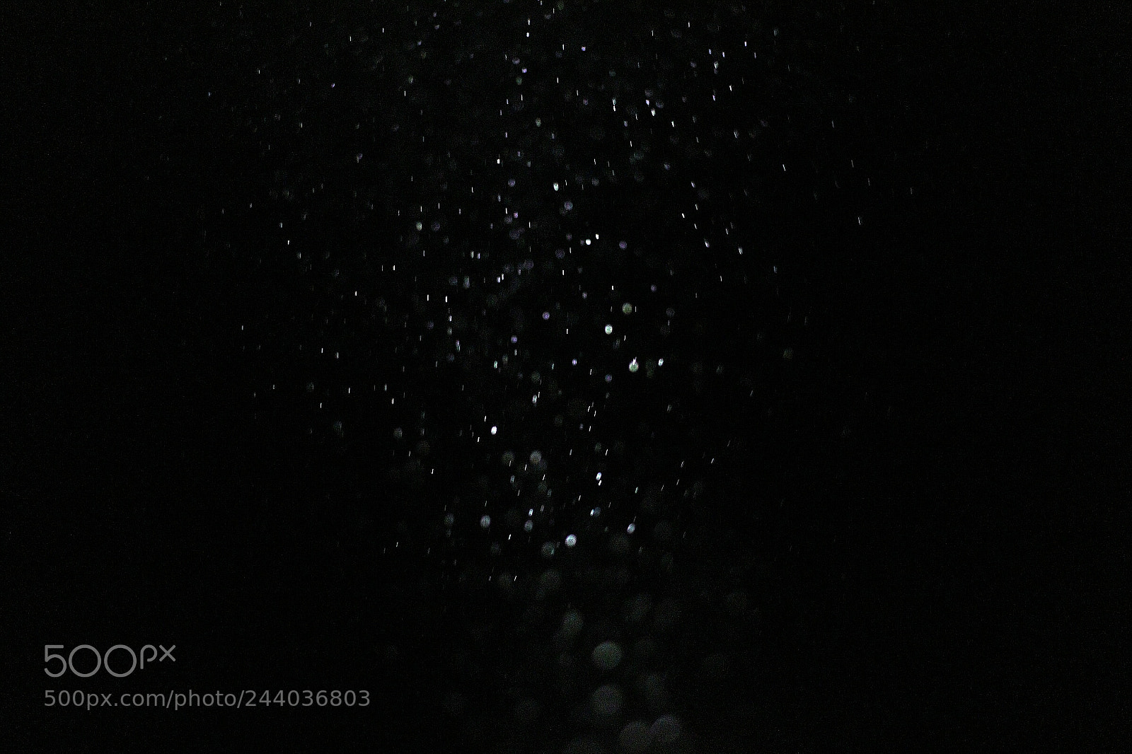 Canon EOS 77D (EOS 9000D / EOS 770D) sample photo. Untitled photography