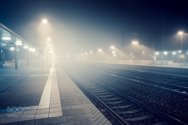 Sony a7R II sample photo. Untitled photography