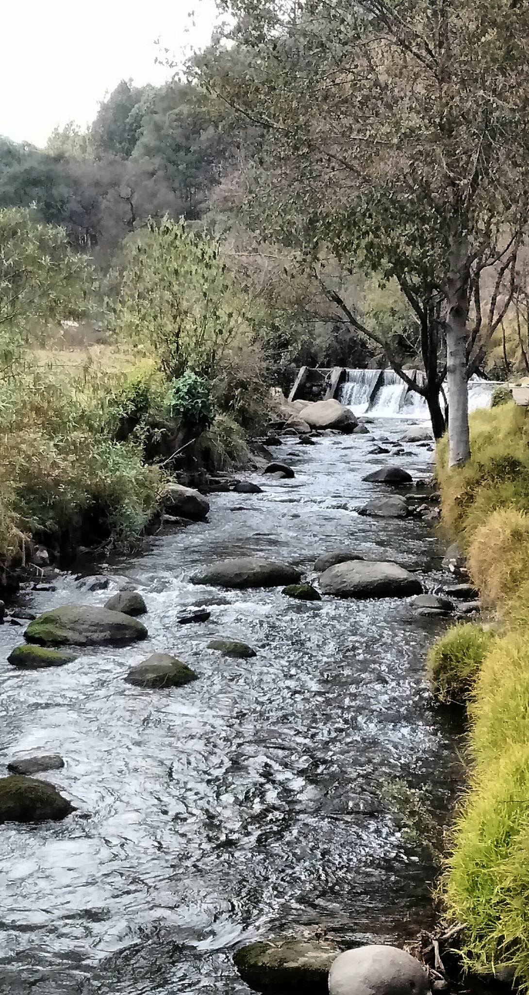 Motorola Moto E with 4G LTE (2nd Gen) sample photo