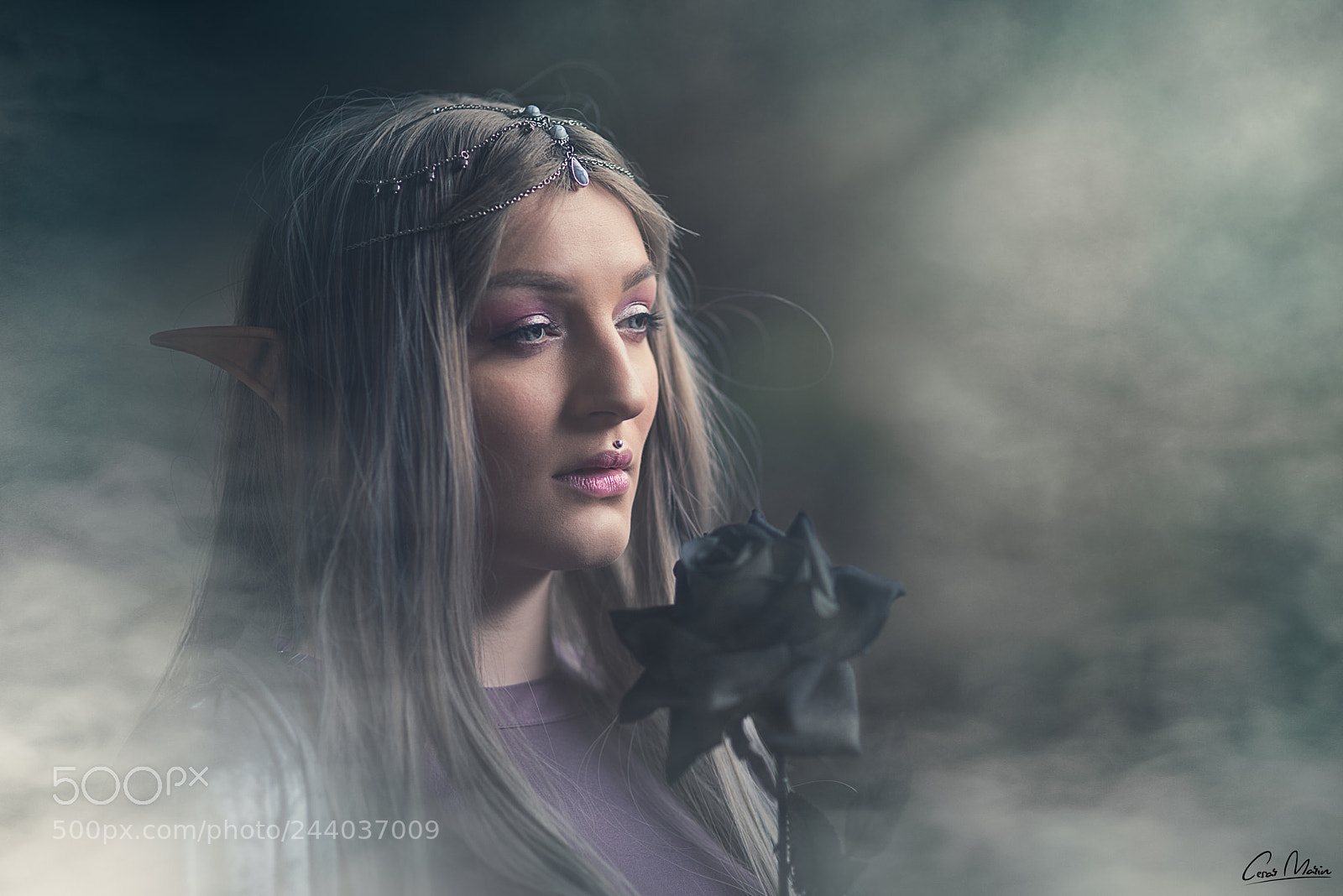 Nikon D800 sample photo. Elf photography
