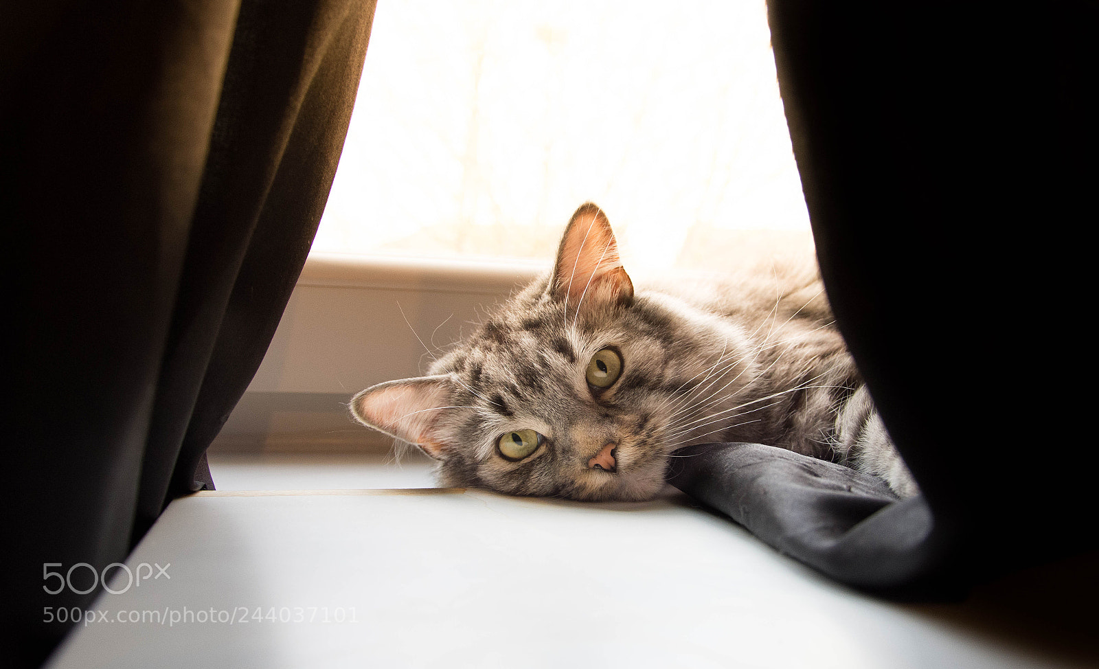 Nikon D7200 sample photo. Untitled photography