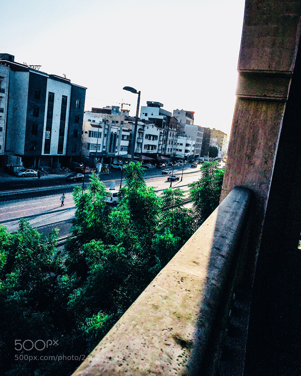 Apple iPhone sample photo. #trees photography