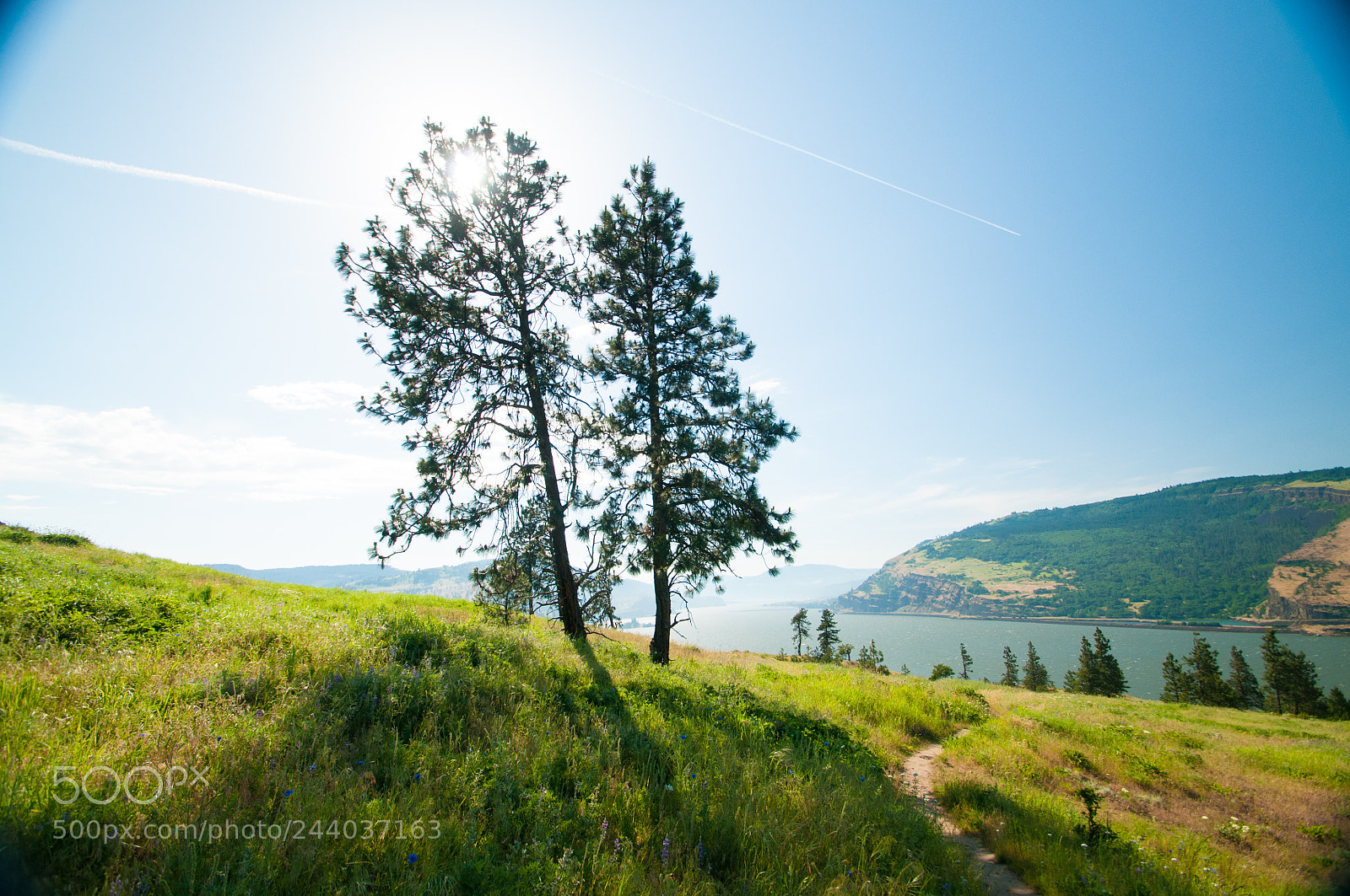 Nikon D300 sample photo. Mosier photography