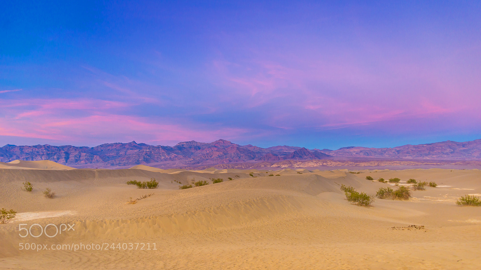 Nikon D610 sample photo. Sunset in sand dunes photography
