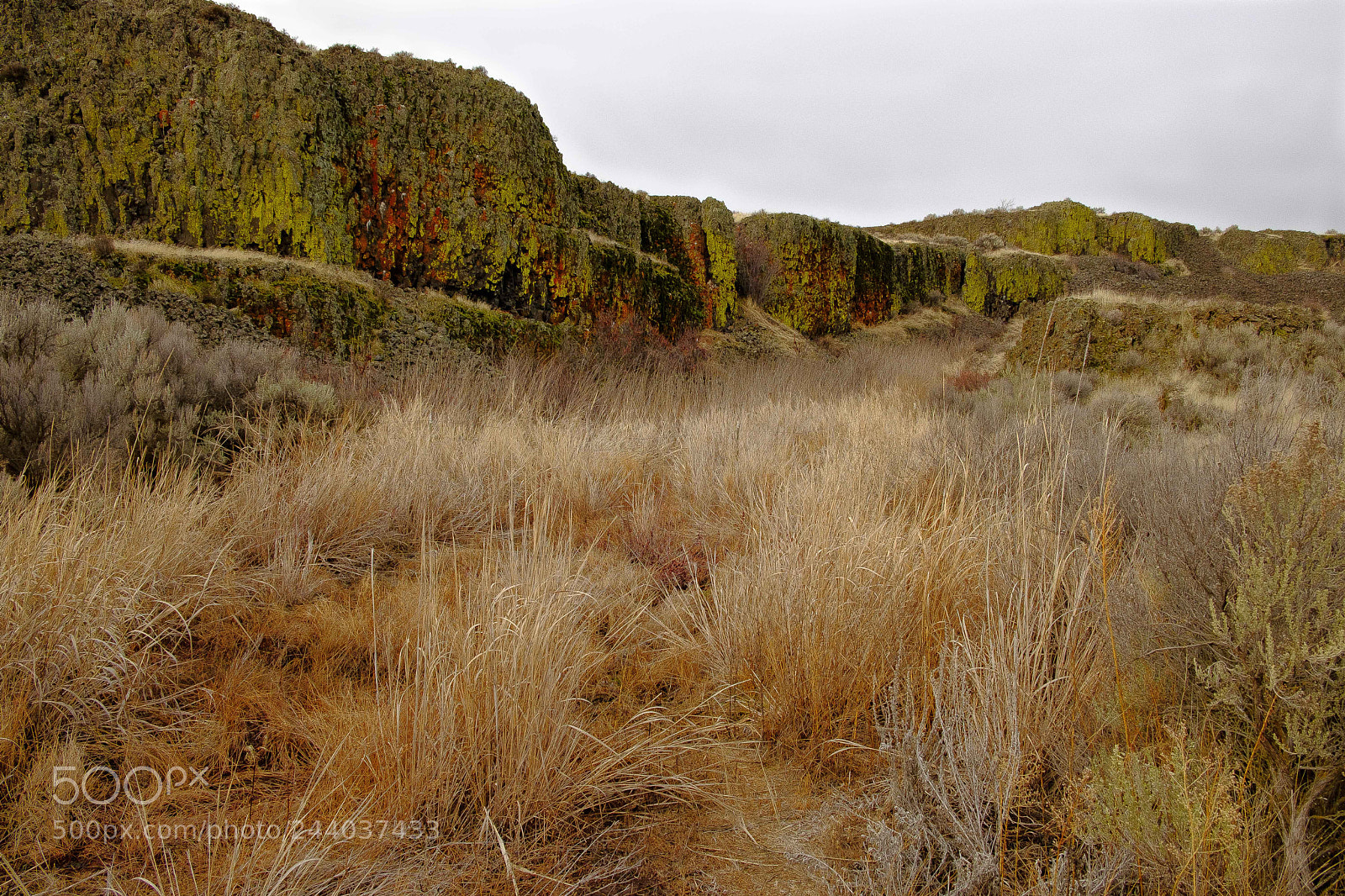 Fujifilm X-T2 sample photo. Odessa ravine photography