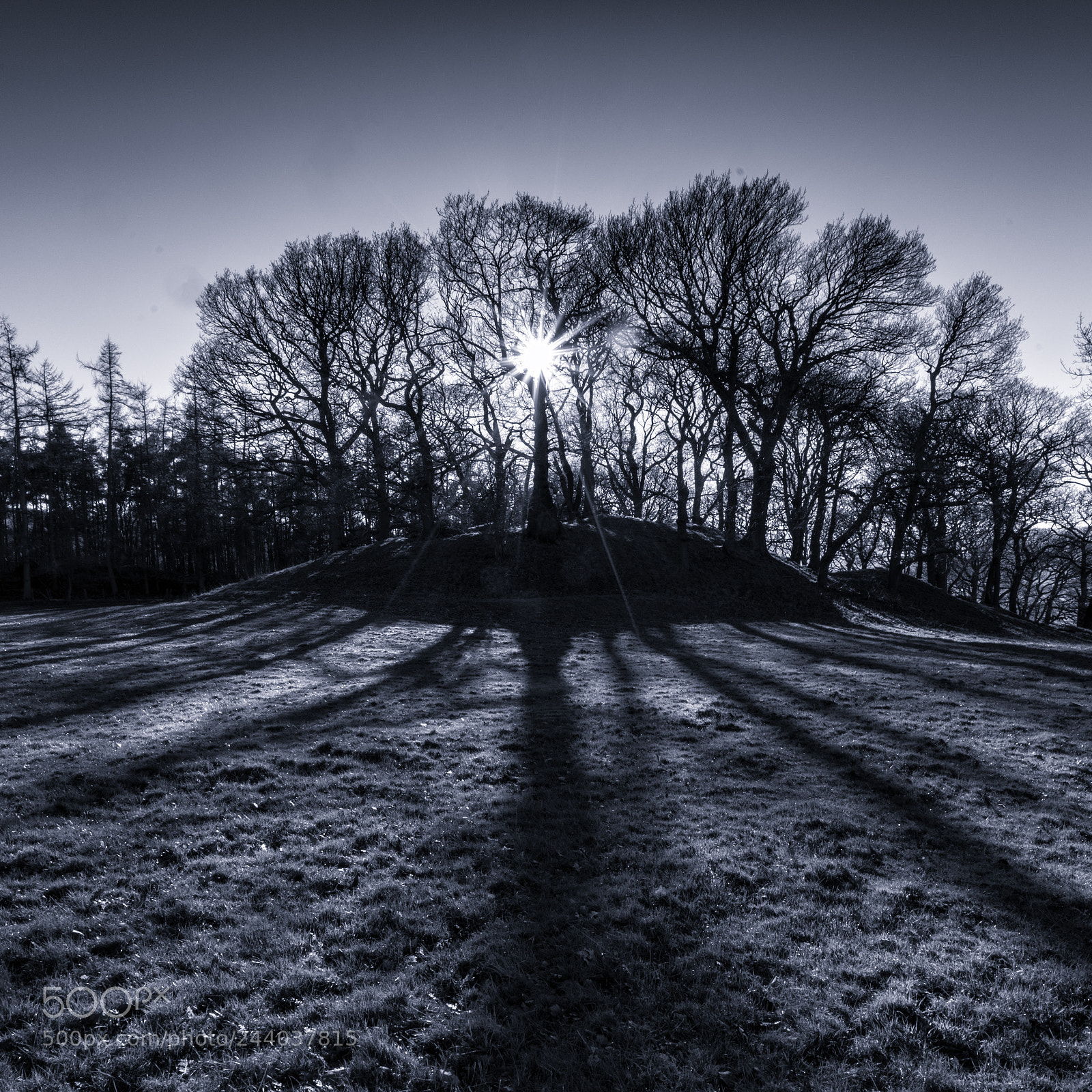 Sony a7R II sample photo. Long shadows photography