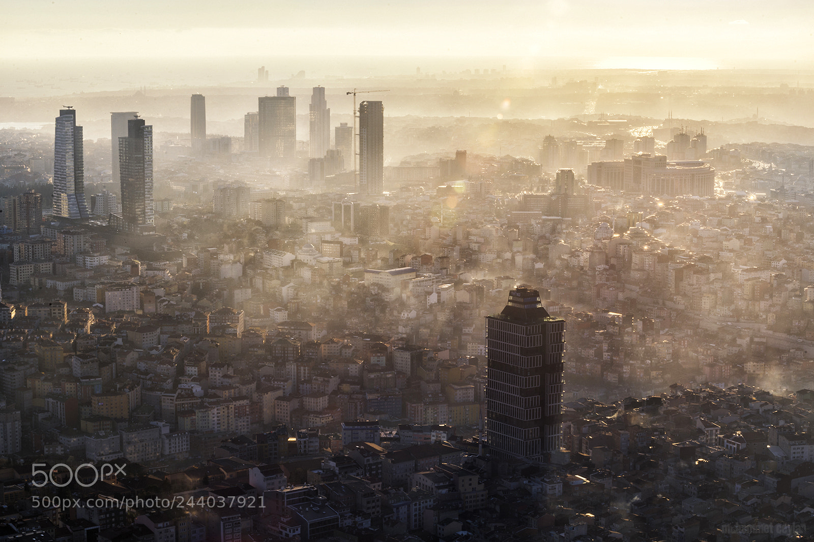 Nikon D600 sample photo. Guardians of the city photography