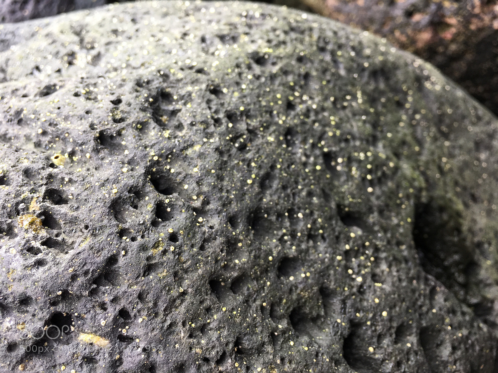 Apple iPhone 6s Plus sample photo. Untitled photography