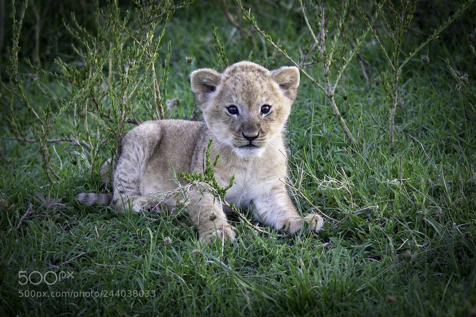 Canon EOS-1D Mark IV sample photo. Adventure photography