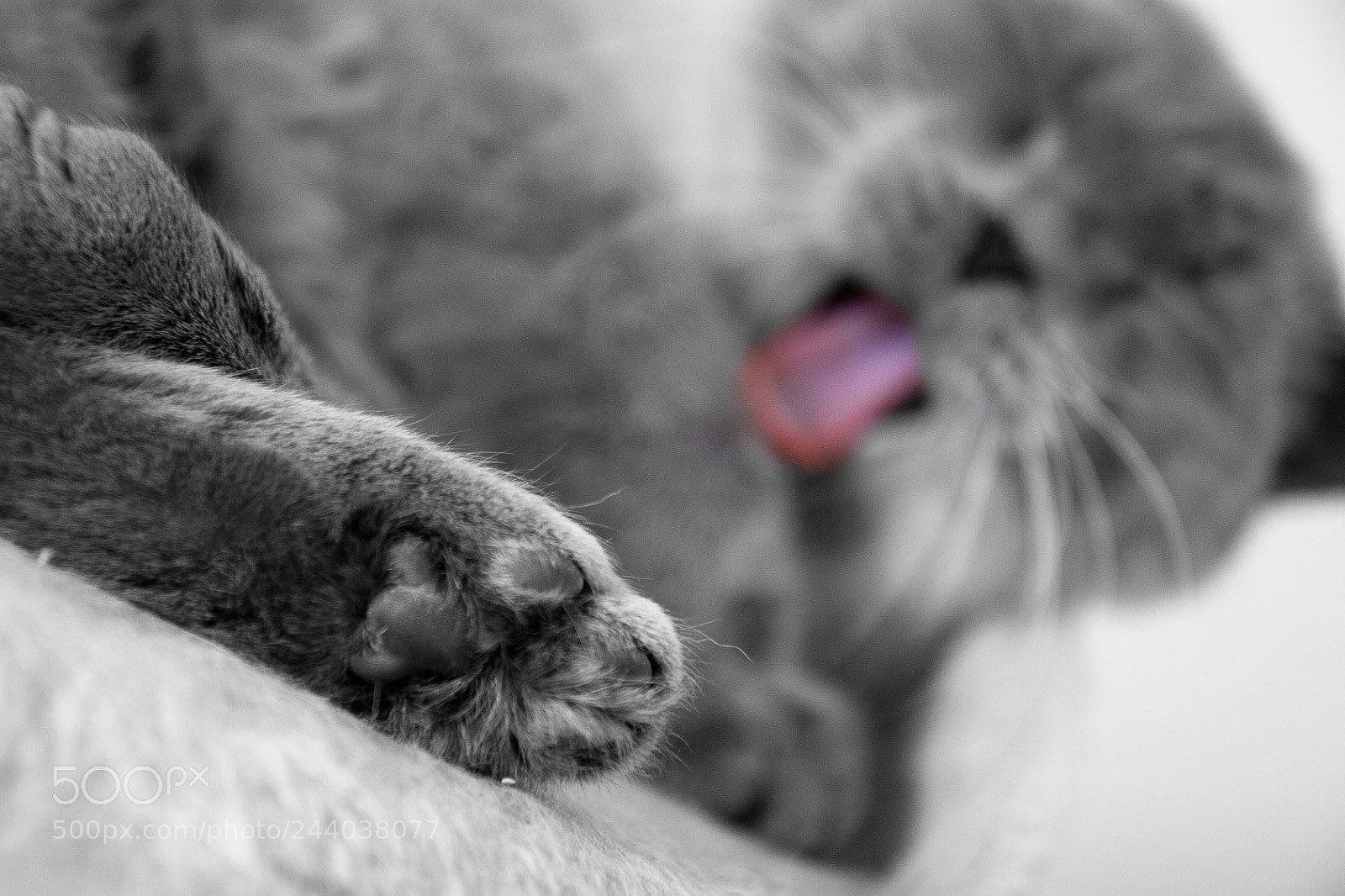 Canon EOS 30D sample photo. Levis photography