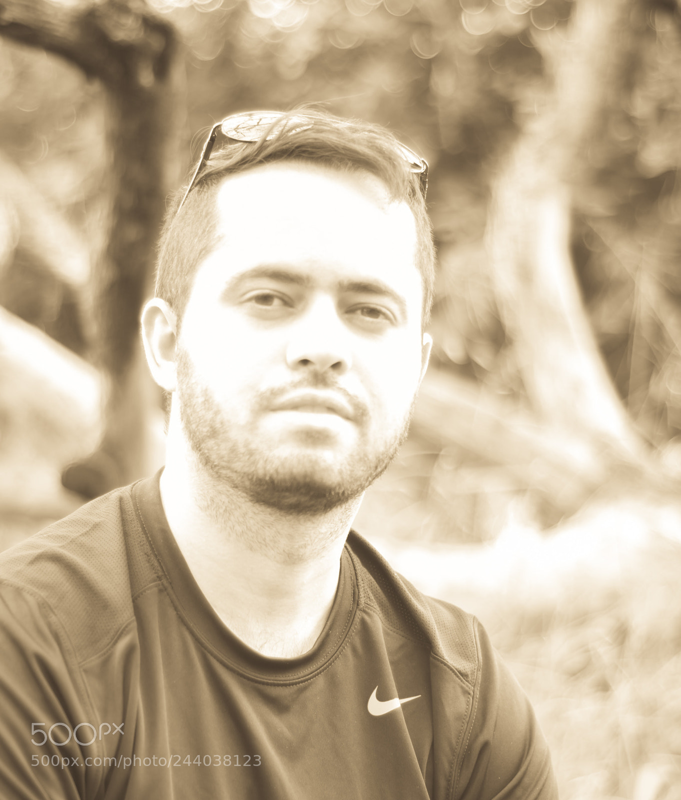 Nikon D80 sample photo. Sepia photography