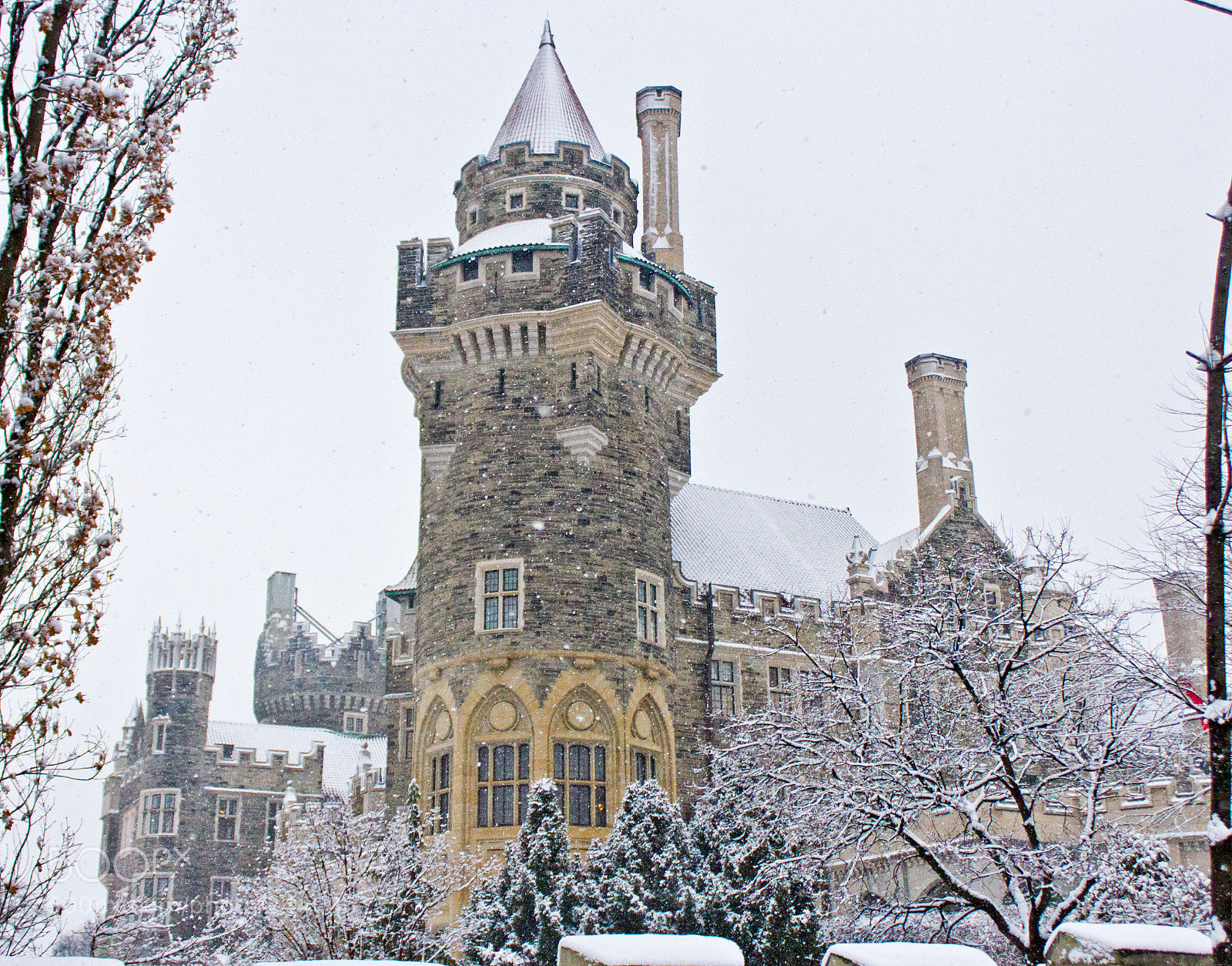 Canon EOS 60D sample photo. Casa loma winter photography