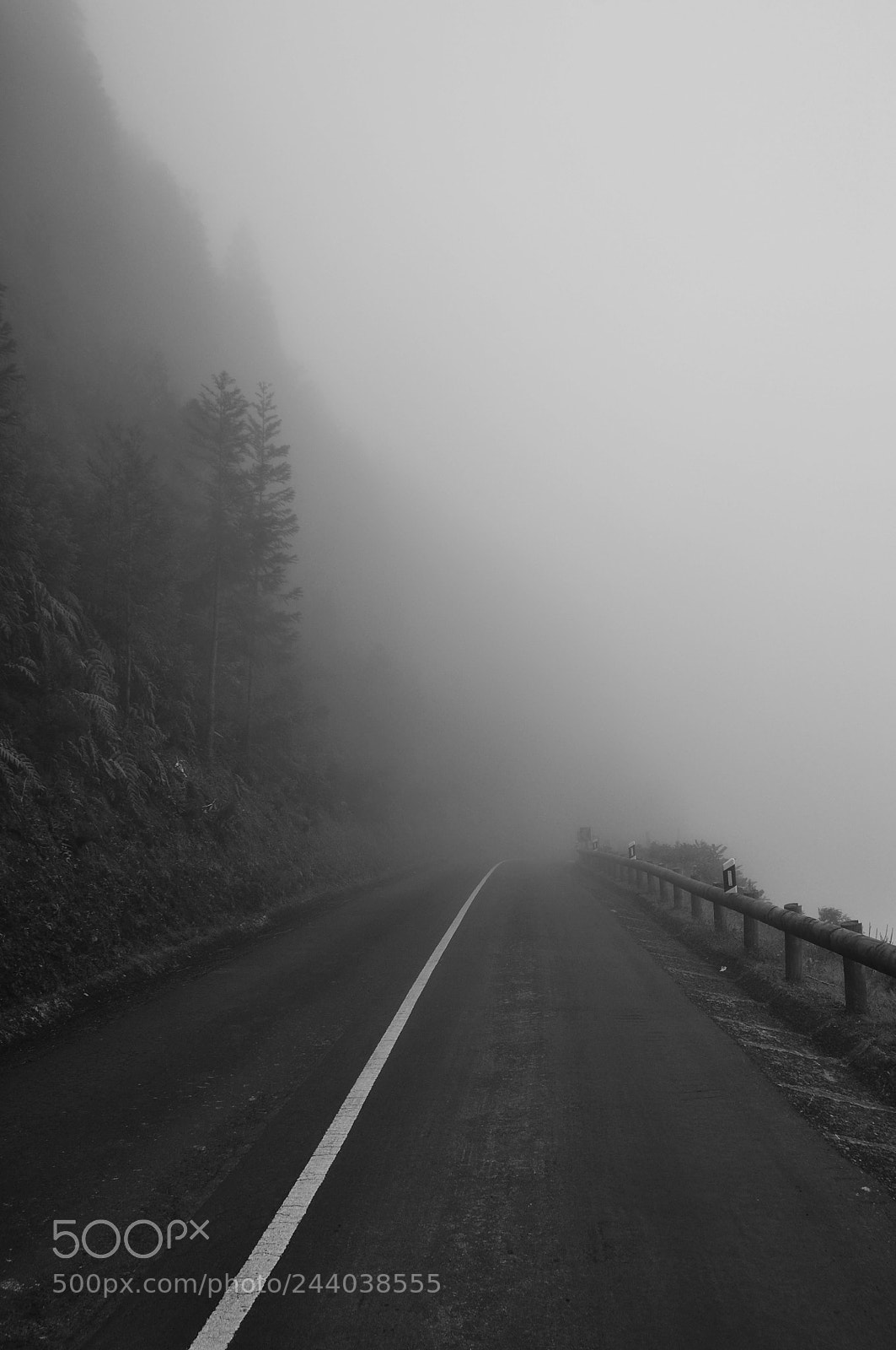 Nikon D5000 sample photo. Lost highway photography