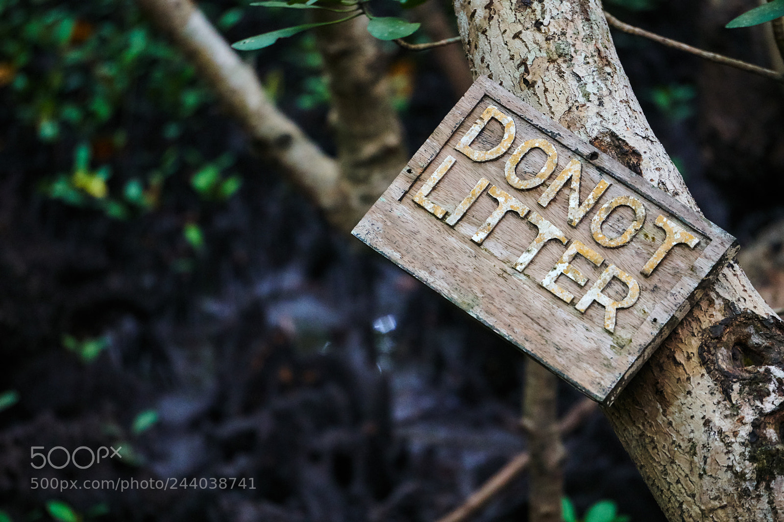 Sony a6300 sample photo. Sign photography