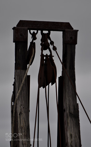 Nikon D5000 sample photo. Td photography