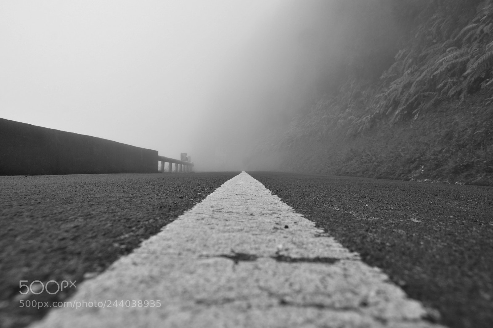 Nikon D5000 sample photo. Lost highway ii photography