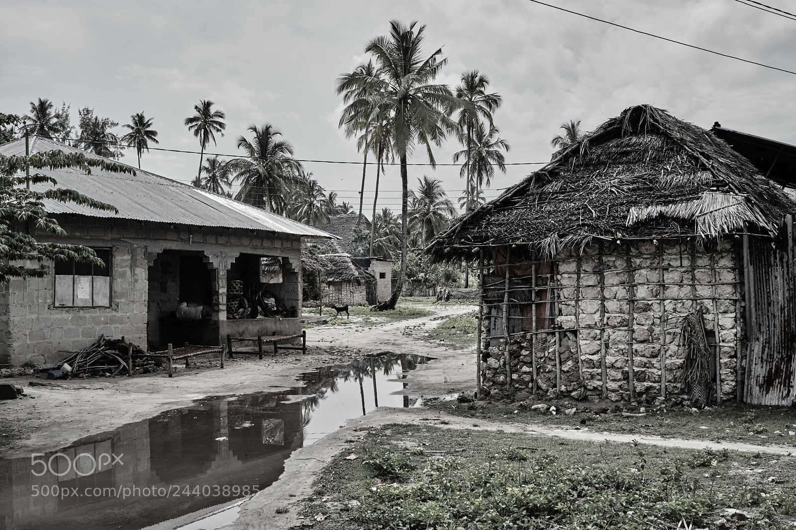 Sony a6300 sample photo. Huts photography