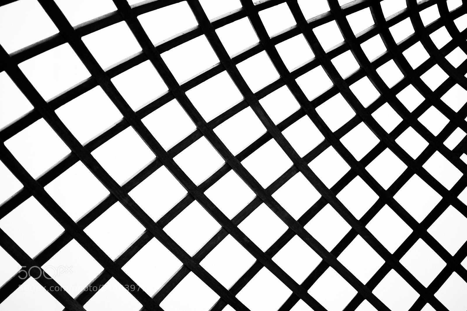 Nikon D7500 sample photo. Crossing lines photography