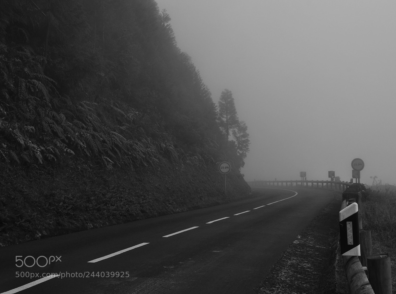 Nikon D5000 sample photo. Lost highway iii photography