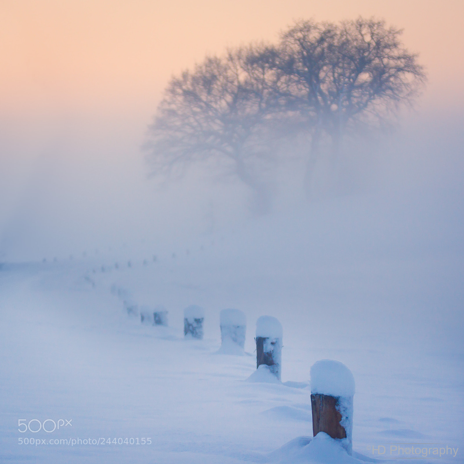 Sony Alpha DSLR-A700 sample photo. Snowfog ii photography