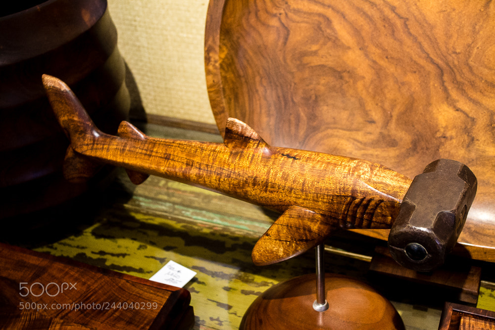 Nikon D3100 sample photo. Hammerhead art photography