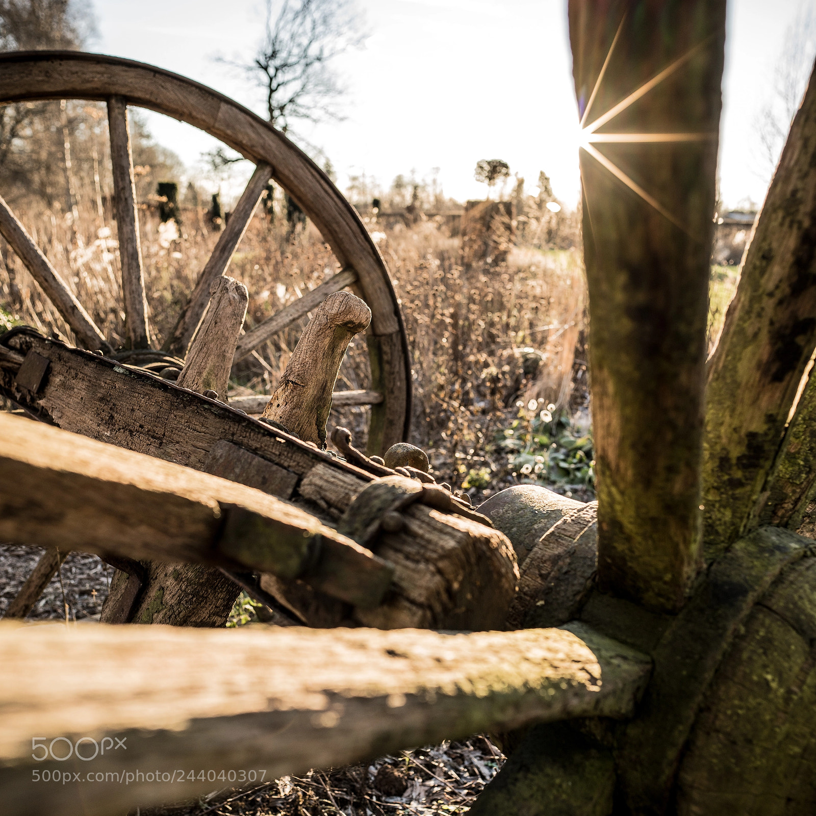 Sony a7R II sample photo. Sunstar and spoked wheels photography