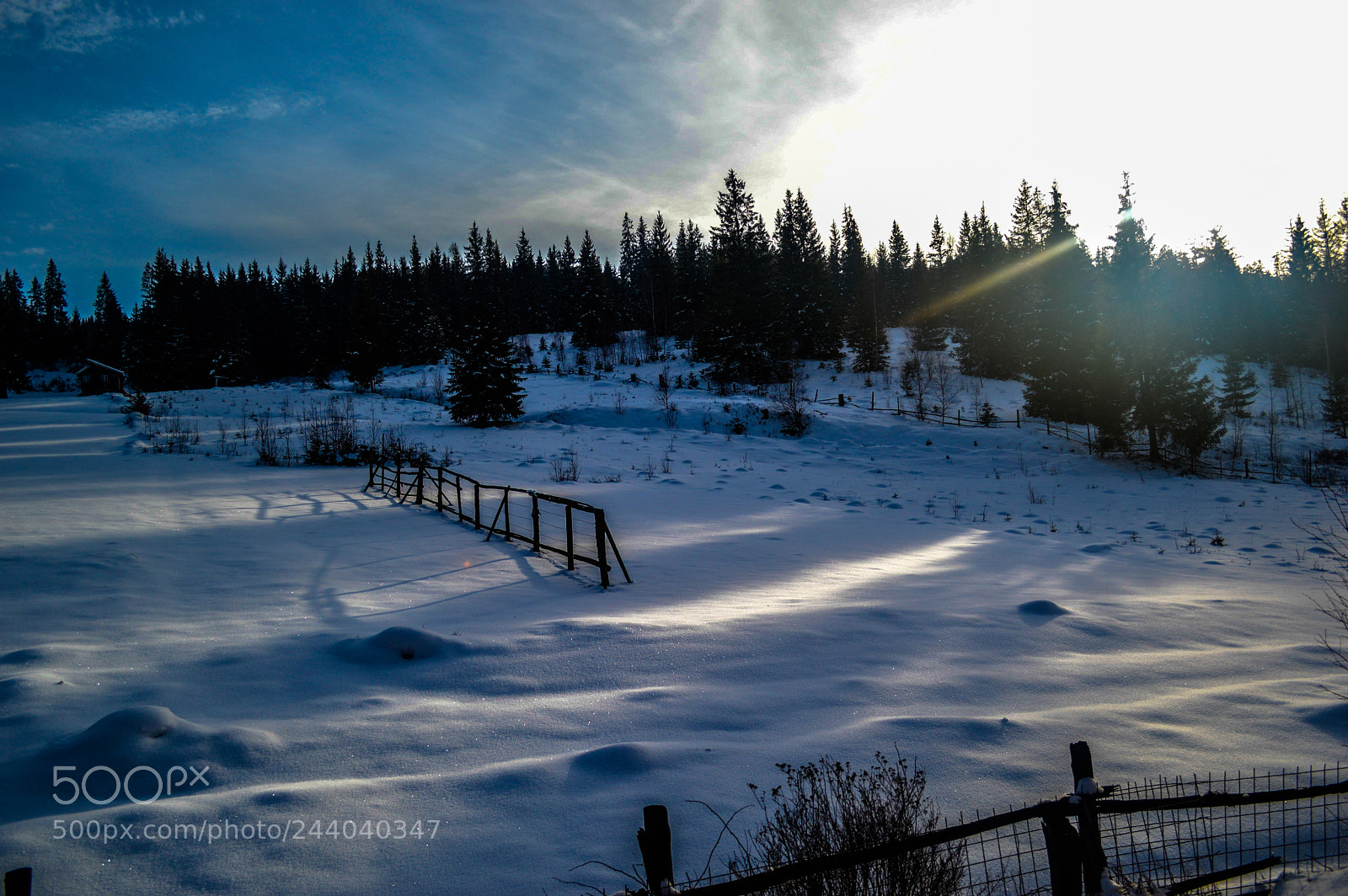 Nikon D3200 sample photo. Freedom run photography