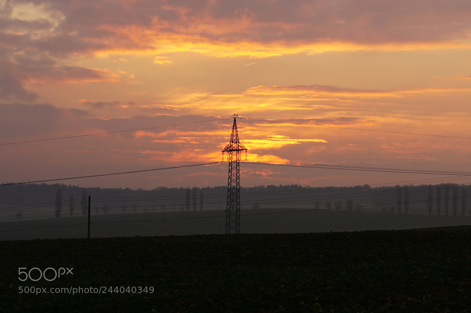 Sony DT 16-50mm F2.8 SSM sample photo. Farbenspiel photography