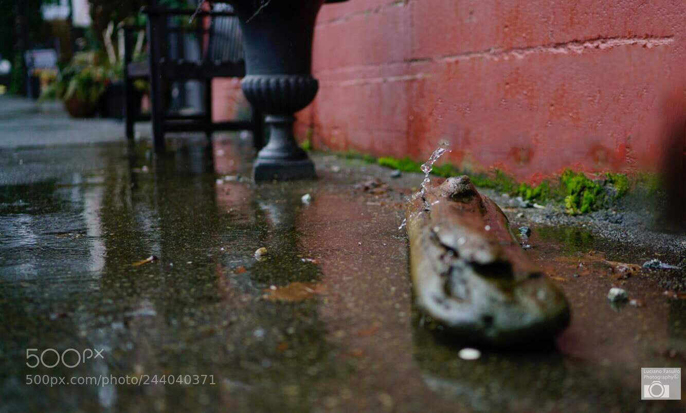 Sony a7R II sample photo. Leaky wall photography