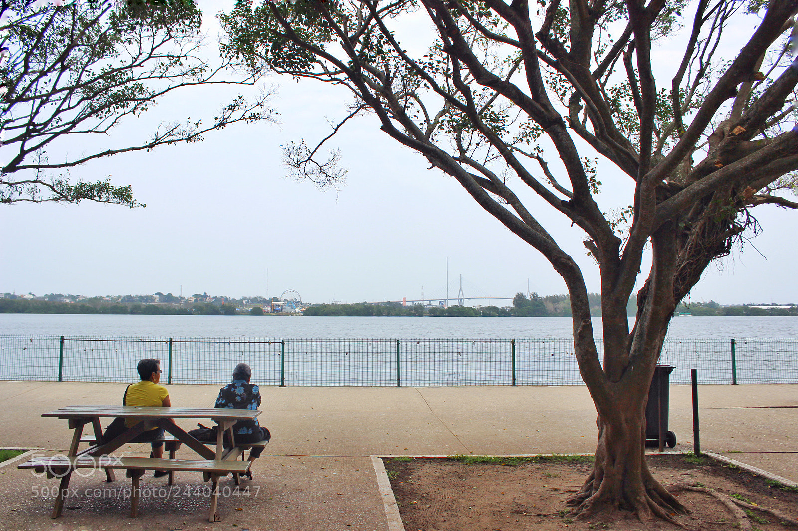 Canon EOS 600D (Rebel EOS T3i / EOS Kiss X5) sample photo. By the river photography