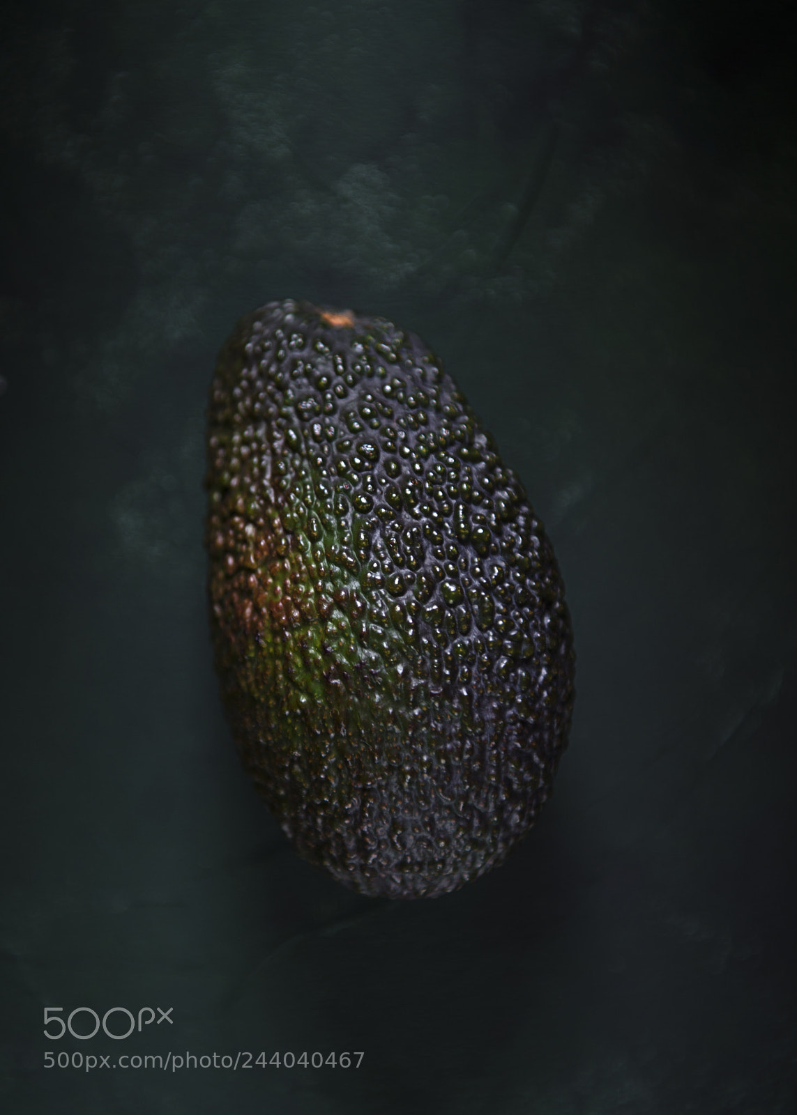 Nikon D800 sample photo. Avocado photography