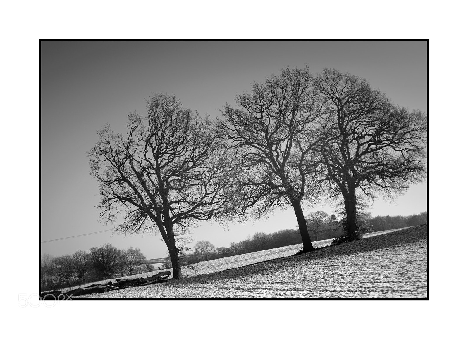 Fujifilm X-Pro2 sample photo. Winter trees photography