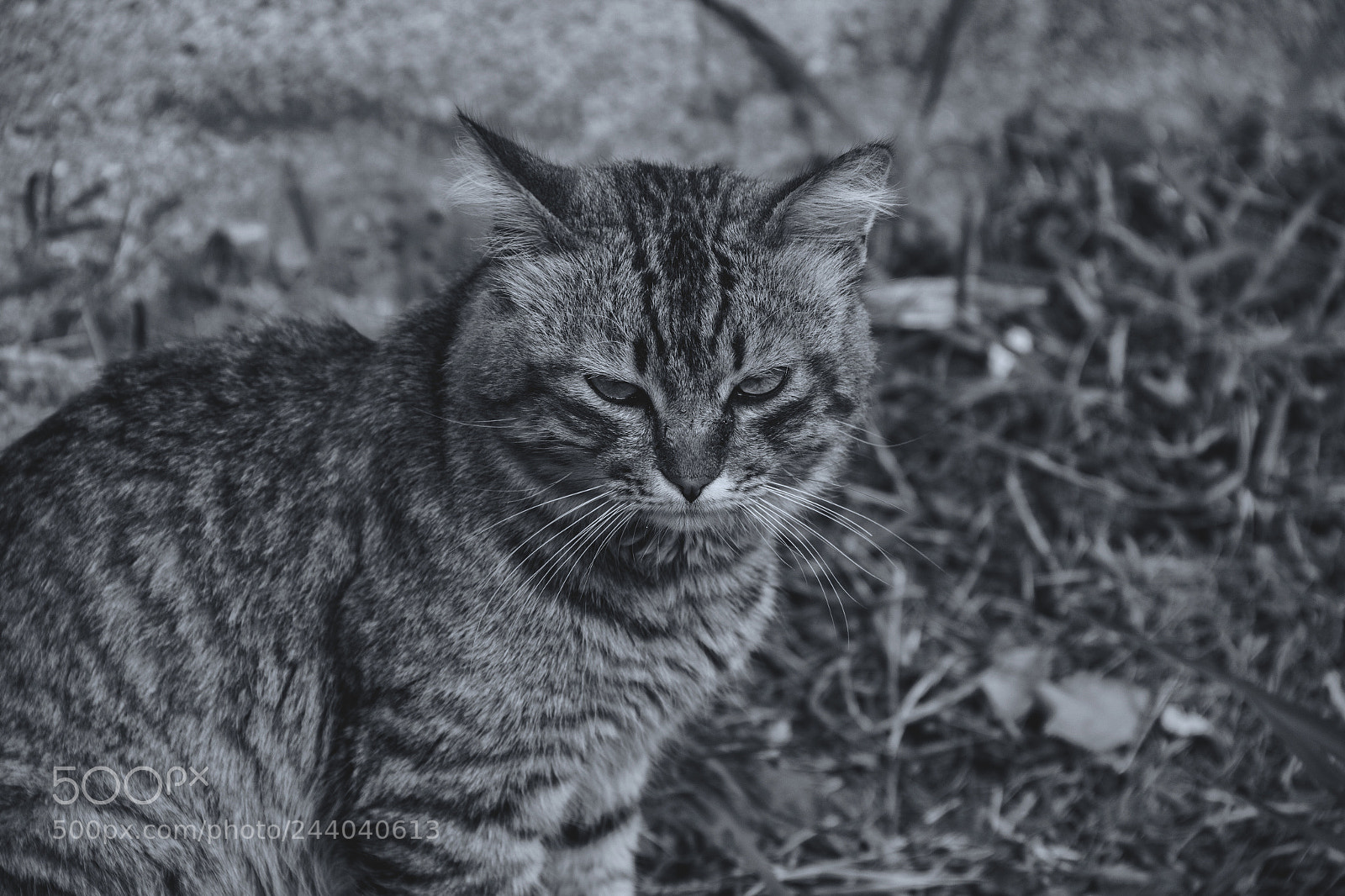 Canon EOS 60D sample photo. We're so happy photography
