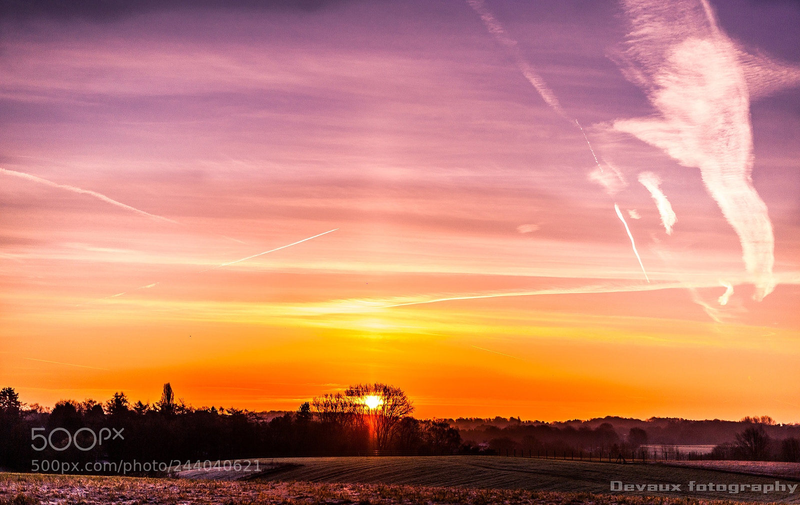 Nikon D3 sample photo. Morning photography